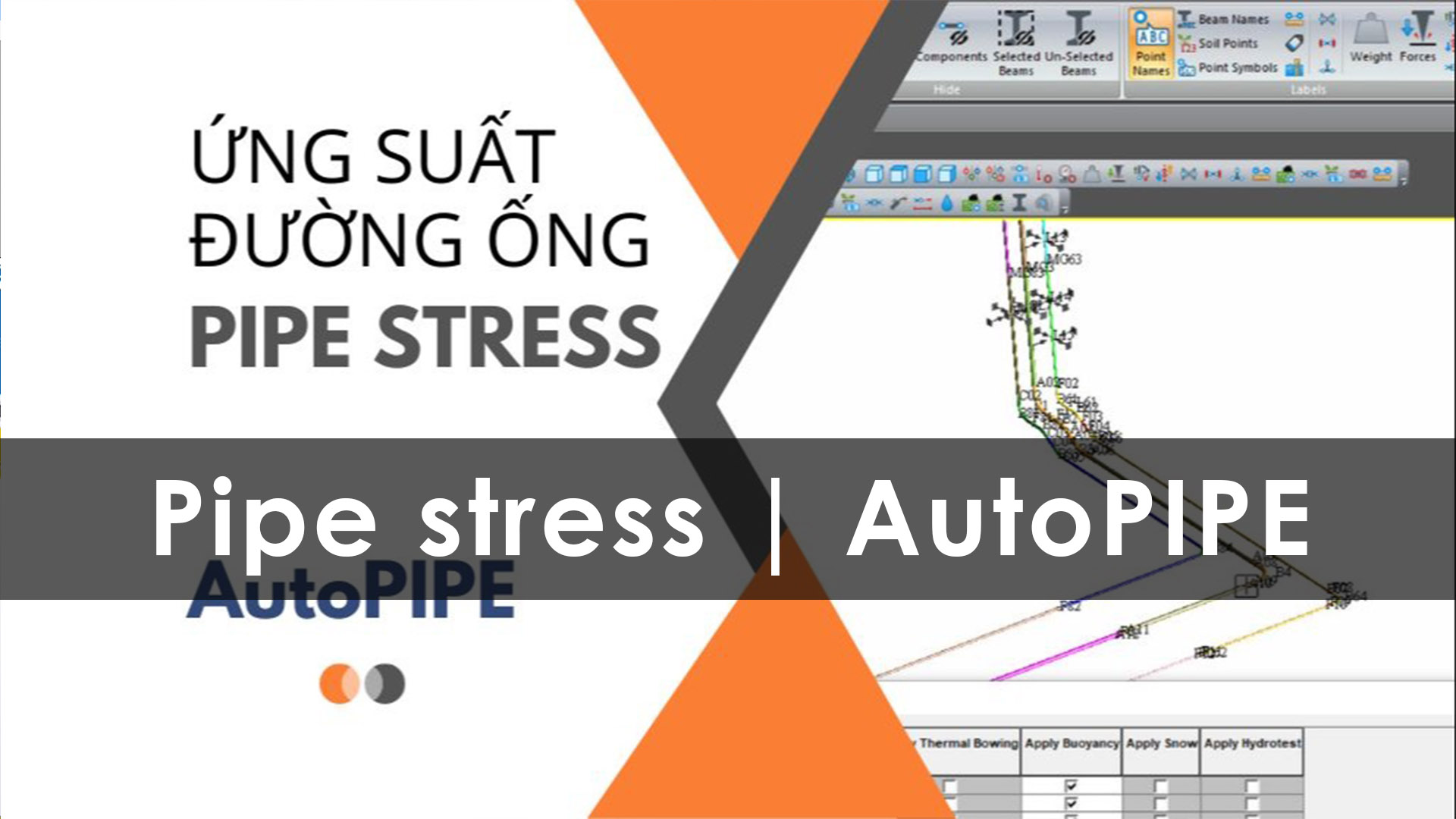 Khóa pipe stress ứng suất ống Caesar II & AutoPIPE Trung tâm đào tạo