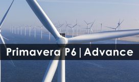 đào tạo Primavera P6